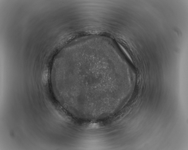 X0000113270647200910011429