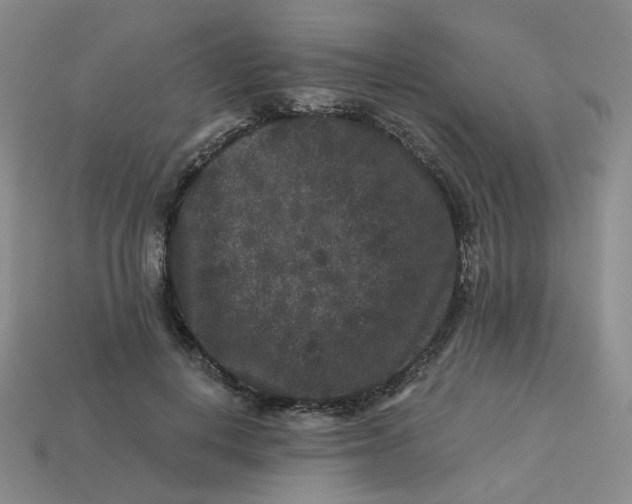 X0000113270648200910011429