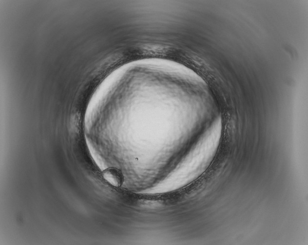 X0000113270649200910011429