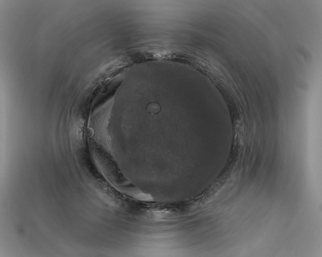 X0000113270650200910011429