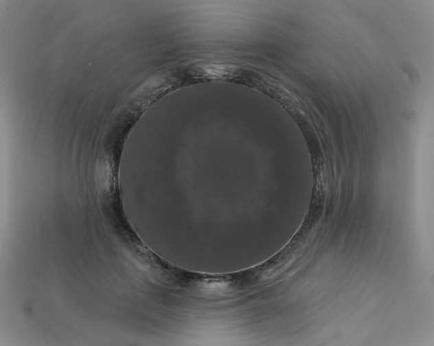 X0000113270651200910011429