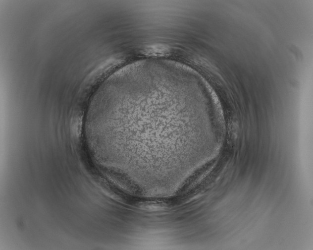 X0000113270652200910011429