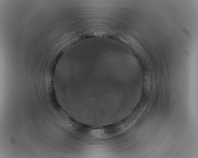 X0000113270653200910011429