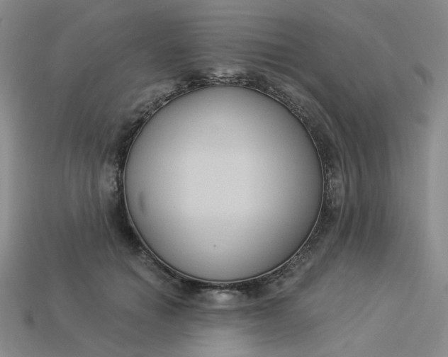 X0000113270654200910011429