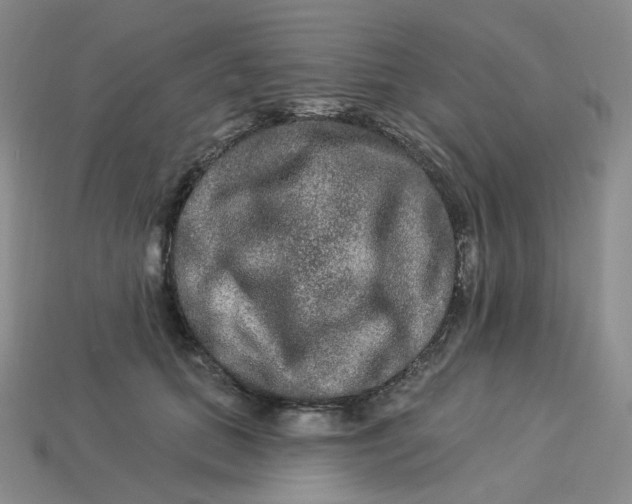 X0000113270655200910011429