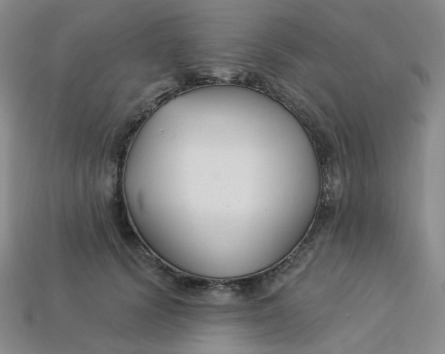 X0000113270656200910011429