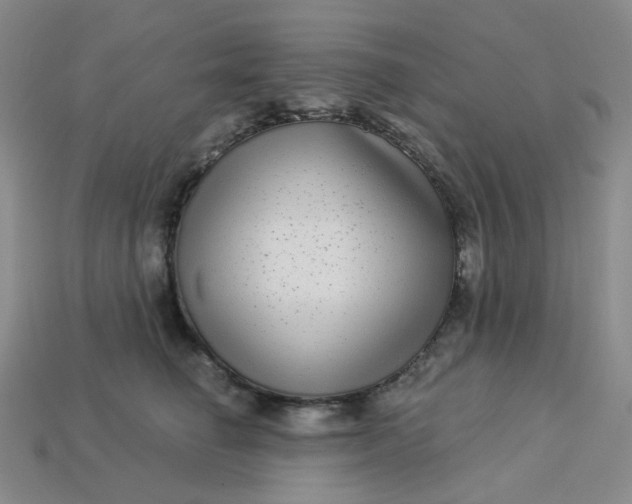 X0000113270662200910011429