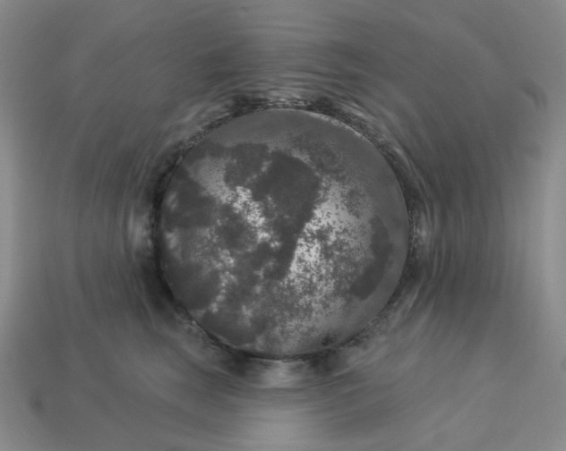 X0000113270663200910011429