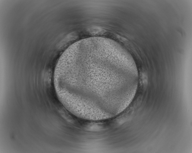 X0000113270664200910011429