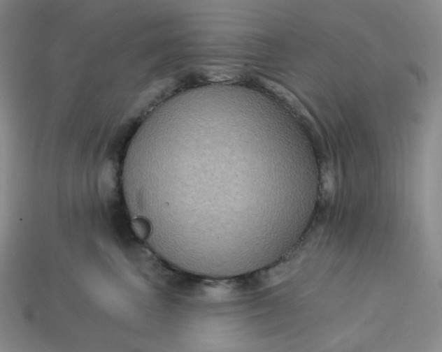 X0000113270667200910011429