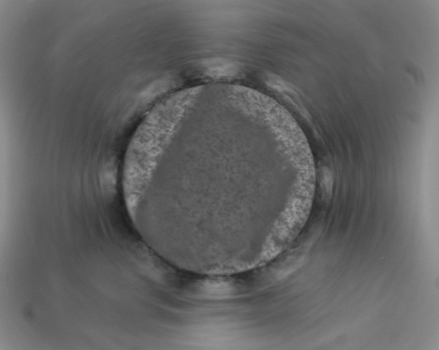 X0000113270668200910011429