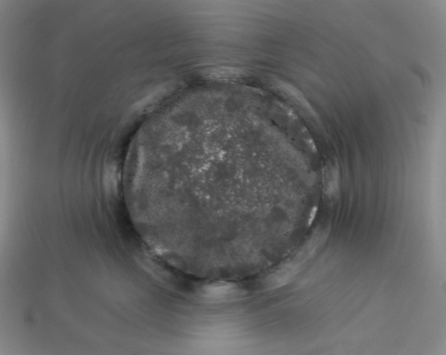 X0000113270669200910011429