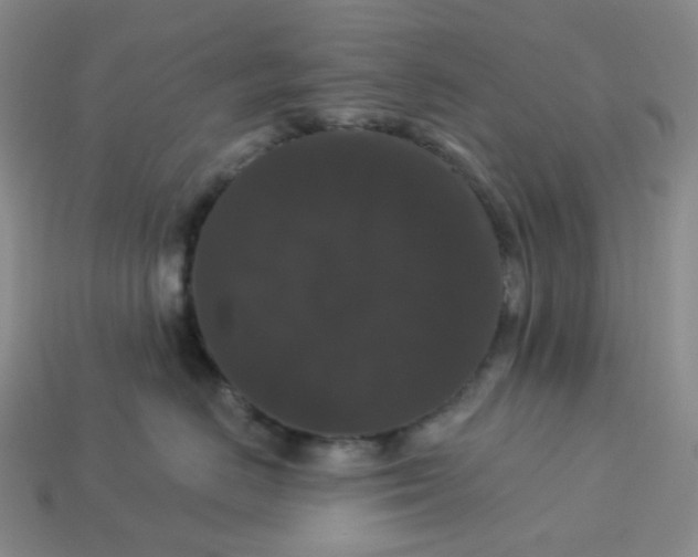 X0000113270670200910011429