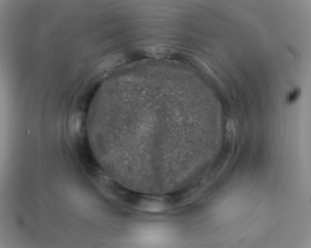 X0000113270671200910011429