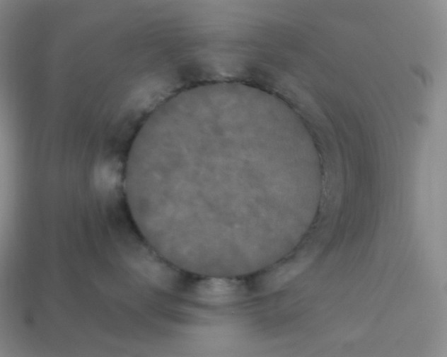 X0000113270672200910011429