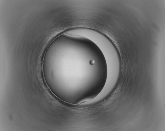 X0000113270673200910011428