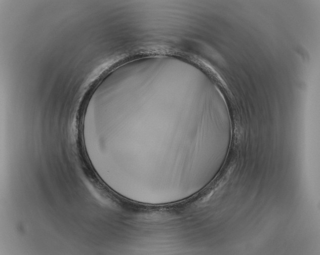 X0000113270674200910011428