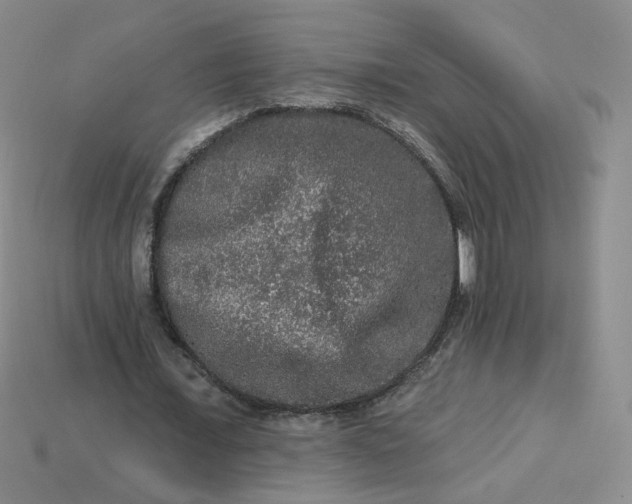 X0000113270675200910011428