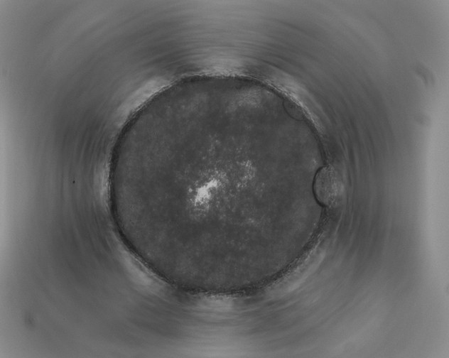 X0000113270677200910011428