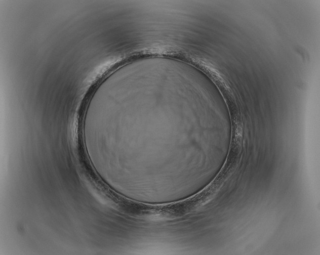 X0000113270678200910011428