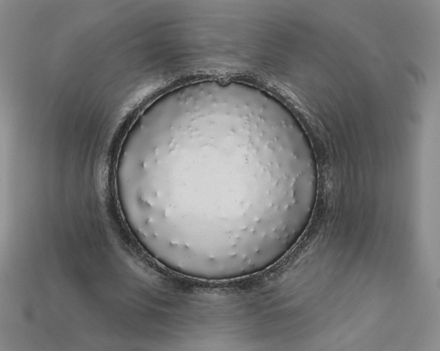 X0000113270679200910011428