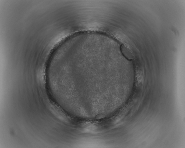 X0000113270680200910011428