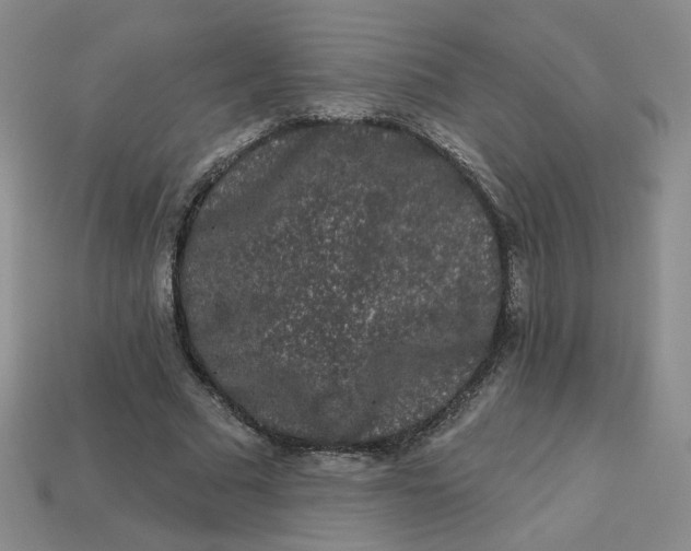 X0000113270681200910011428