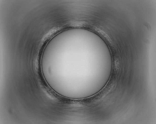 X0000113270682200910011428