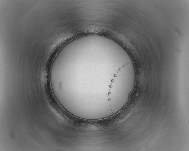 X0000113270683200910011428