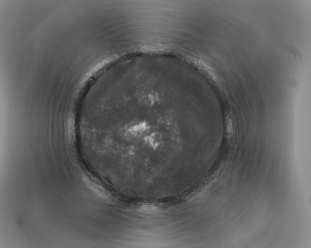 X0000113270684200910011428