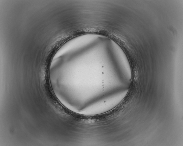 X0000113270687200910011428