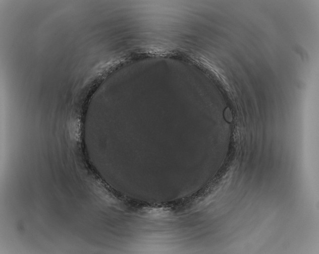 X0000113270689200910011428