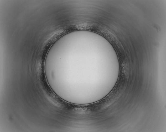 X0000113270690200910011428