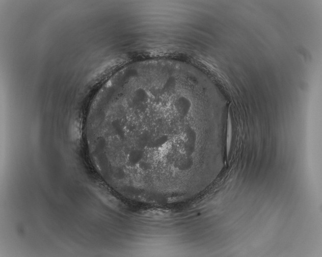 X0000113270691200910011428