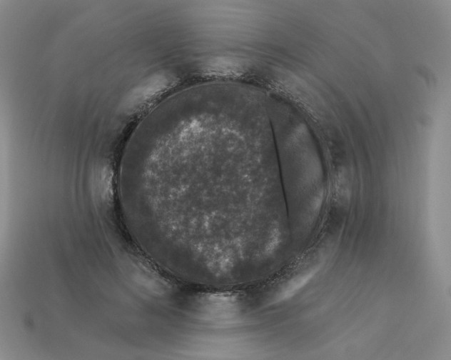 X0000113270692200910011428