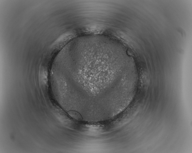 X0000113270693200910011428