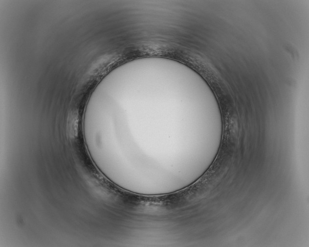 X0000113270694200910011428