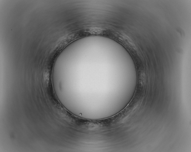 X0000113270697200910011428