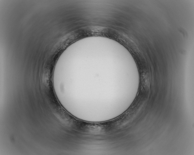 X0000113270698200910011428