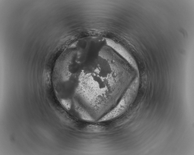 X0000113270699200910011428