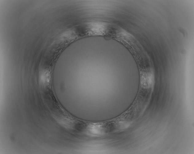 X0000113270701200910011428