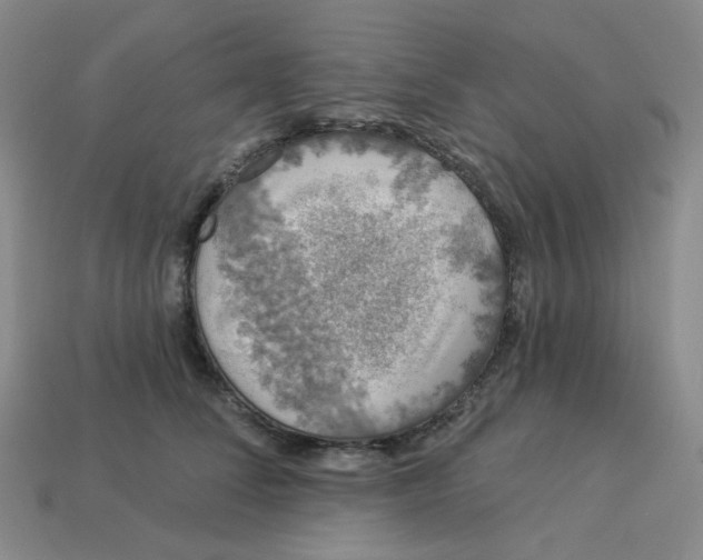 X0000113270708200910011428