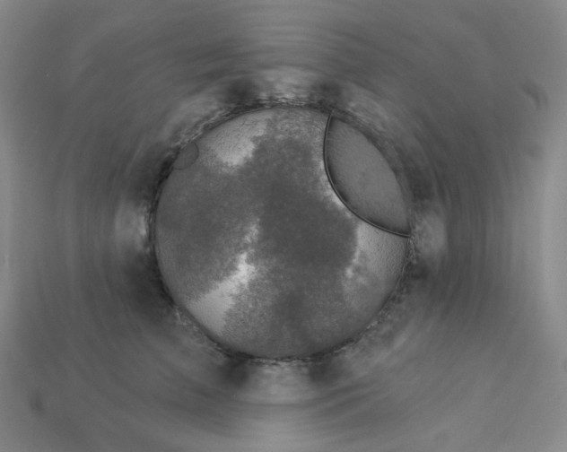 X0000113270709200910011428