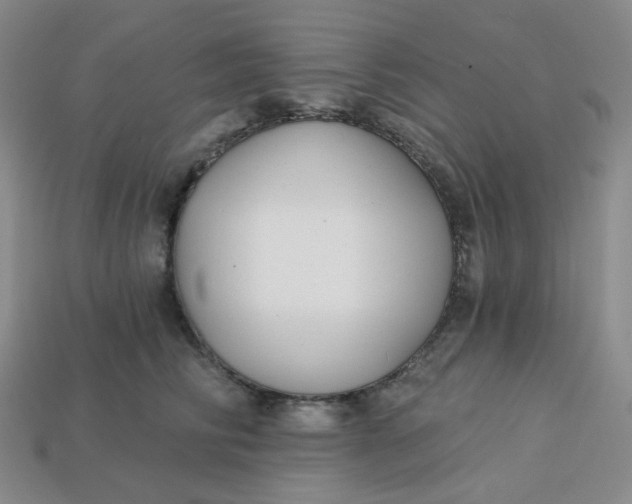 X0000113270710200910011428