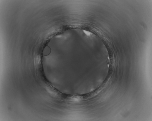 X0000113270711200910011428