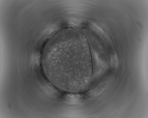 X0000113270712200910011428