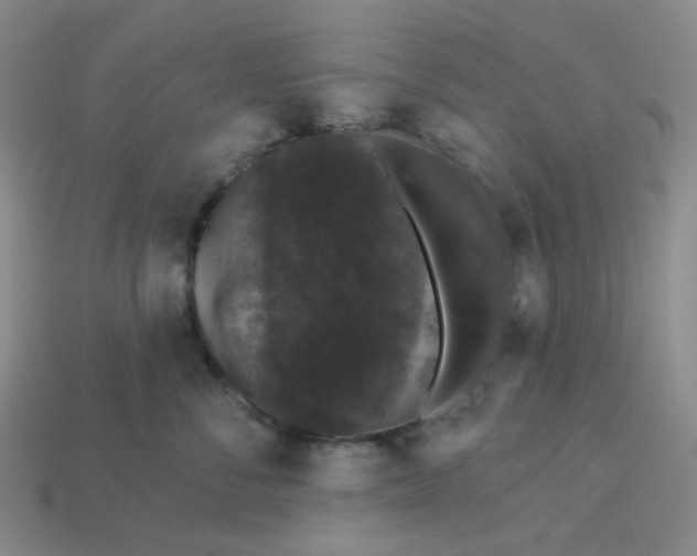 X0000113270716200910011428