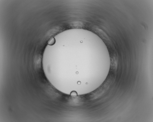 X0000113270717200910011428