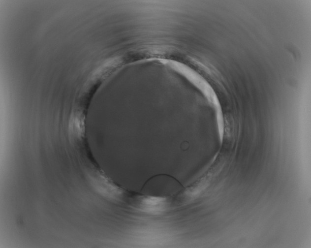 X0000113270718200910011428