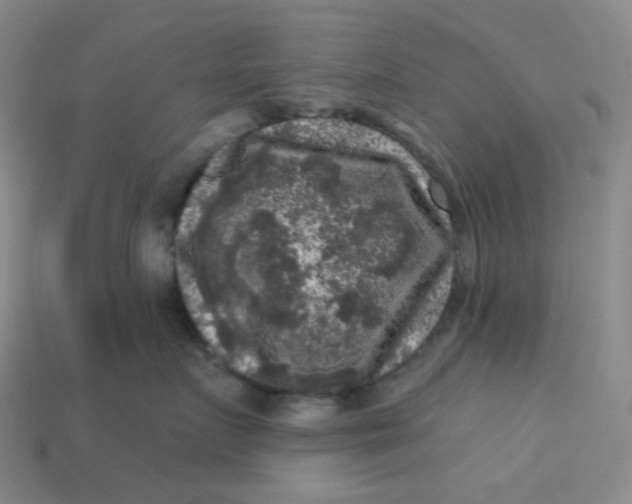 X0000113270719200910011428